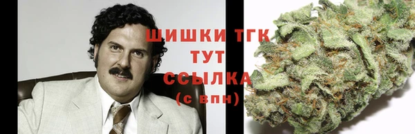 молекула духа Дмитровск