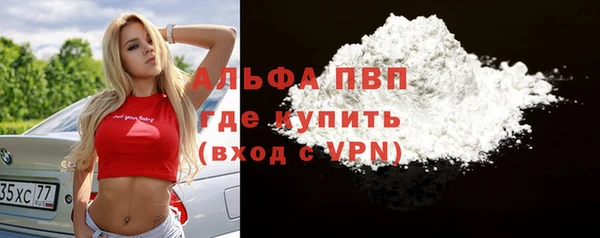 ешки Ельня