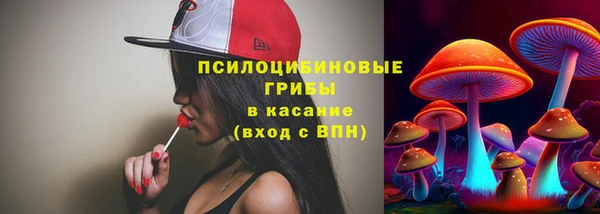 mdma Елизово
