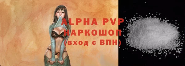 крисы Елабуга