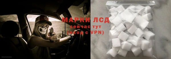 крисы Елабуга