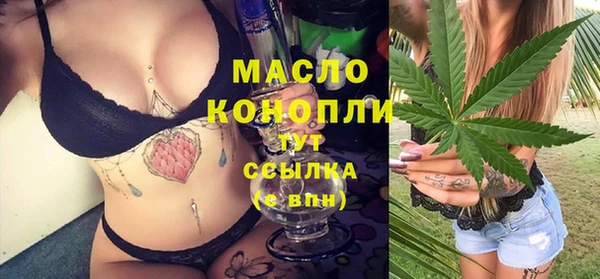 СК Дмитров