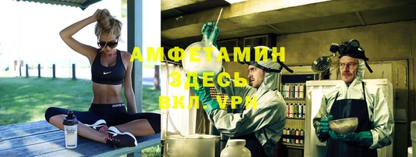 ешки Ельня