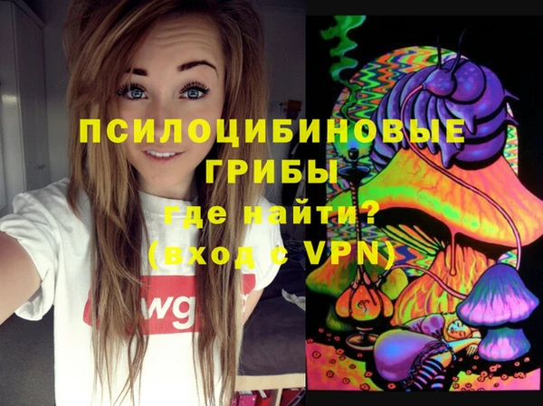 ешки Ельня