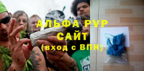 крисы Елабуга